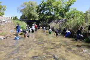 水辺の広場で生き物を探す子どもたち