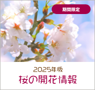 2025年度 桜の開花情報